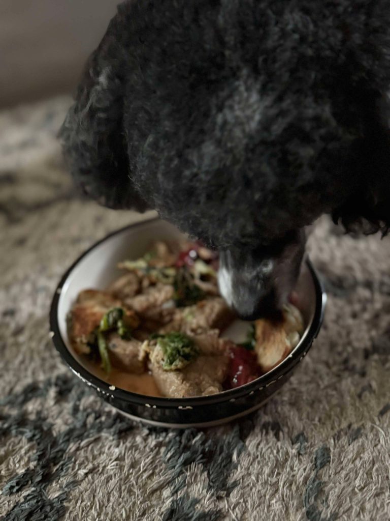 Orthomoleculaire voedingsadvies hond en kat eiland tholen